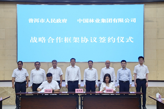 中林集团与普洱市人民政府签署战略合作协议