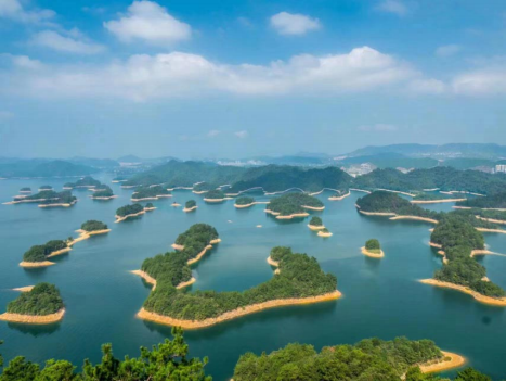 中林集团：一条鱼“游”出共富路