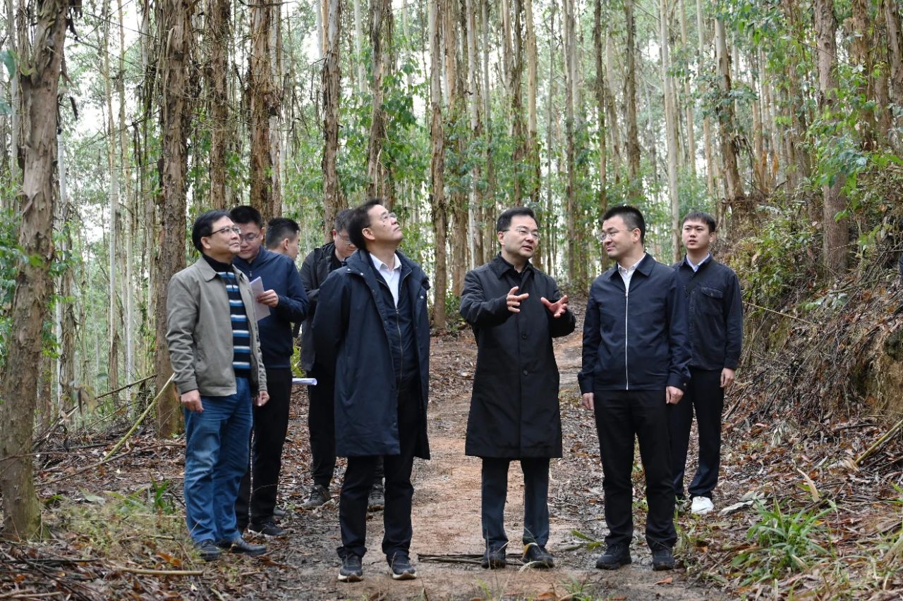 张炳南到中林广西林业投资发展集团调研并慰问一线干部职工